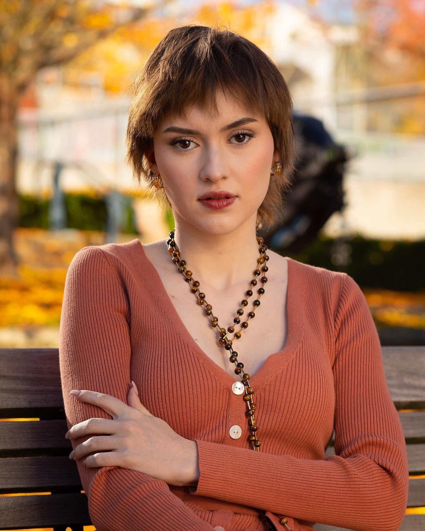 tiger eye gemstone earrings with a 2 inch thick drop chain and a matching long beaded necklace 